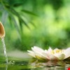 氣喘生物製劑 SDM