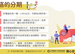 肝癌的分期-肝癌懶人包3