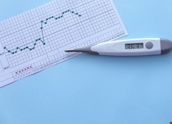 如何準確預測排卵日提高受孕機率?
