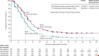 Tislelizumab plus chemotherapy versus placebo plus chemotherapy as first-line treatment for advanced or metastatic oesophageal squamous cell carcinoma (RATIONALE-306): a global, randomised, placebo-controlled, phase 3 study