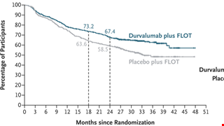 Perioperative Durvalumab in Gastric and Gastroesophageal Junction Cancer img